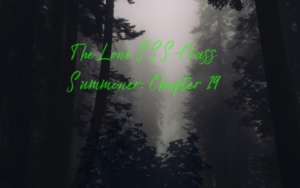 The Lone SSS-Class Summoner: Chapter 19